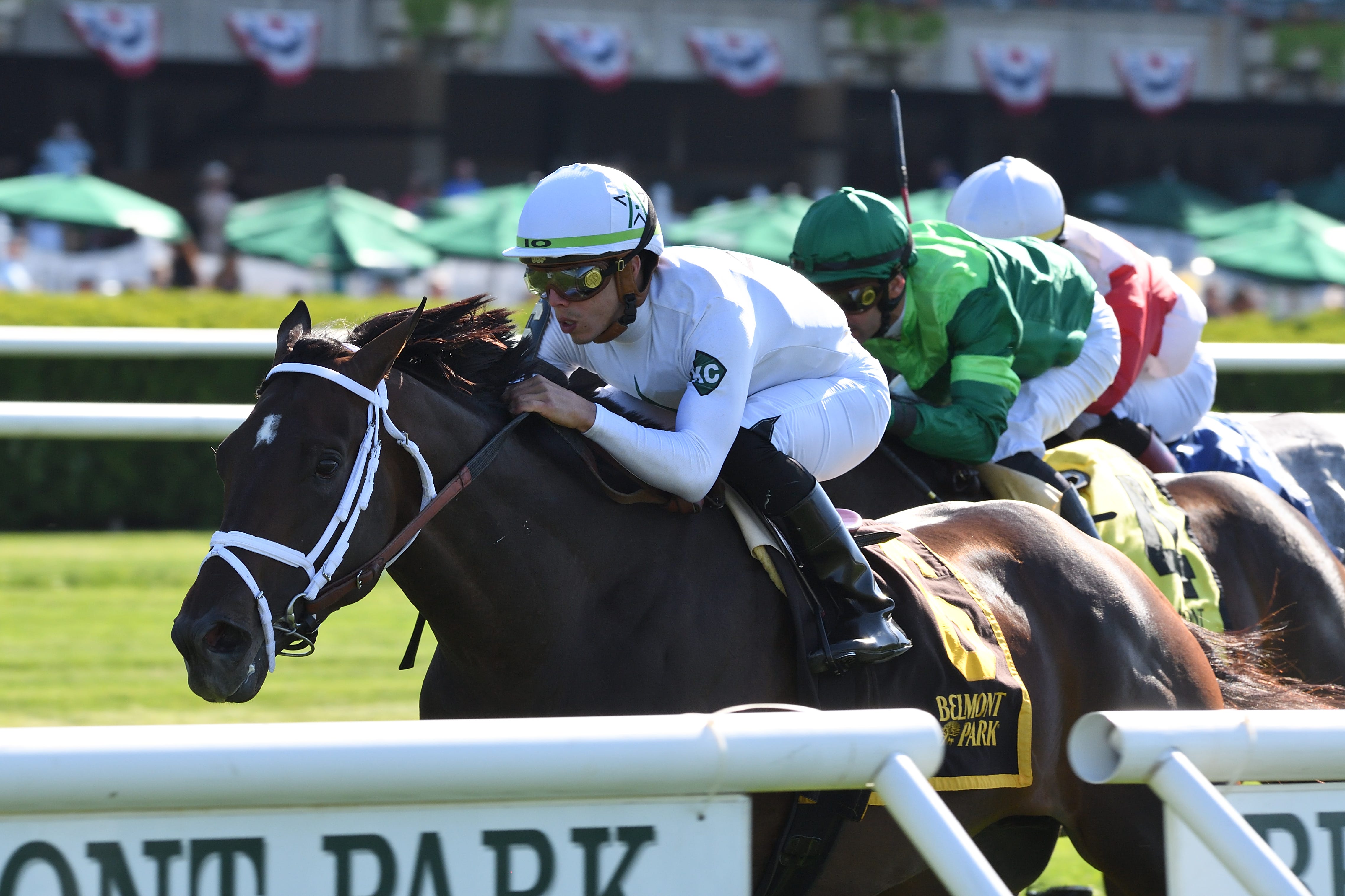 Pletcher, Brown bring significant players to Endeavour, Tampa Bay stakes